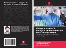 Borítókép a  Síntese e avaliação biológica de derivados de imidazol-hidrazona - hoz