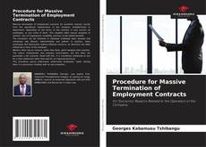 Bookcover of Procedure for Massive Termination of Employment Contracts