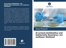 Capa do livro de β-Lactam-Antibiotika und bakterielle Resistenz: ein endloser Wettlauf 