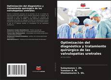 Optimización del diagnóstico y tratamiento quirúrgico de las valvulopatías uretrales的封面
