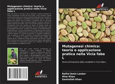 Copertina di Mutagenesi chimica: teoria e applicazione pratica nella Vicia faba L