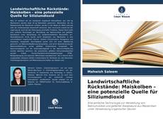 Copertina di Landwirtschaftliche Rückstände: Maiskolben – eine potenzielle Quelle für Siliziumdioxid