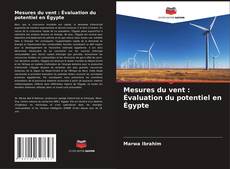 Capa do livro de Mesures du vent : Évaluation du potentiel en Égypte 