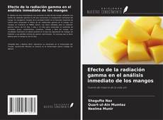 Capa do livro de Efecto de la radiación gamma en el análisis inmediato de los mangos 