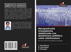 Portada del libro de Nanoparticelle trimetalliche stabilizzate con dendrimero anfifilico come catalizzatore