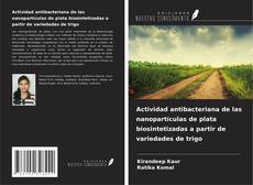 Обложка Actividad antibacteriana de las nanopartículas de plata biosintetizadas a partir de variedades de trigo