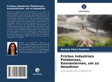 Buchcover von Friches Industriais Pelotenses, Kennenlernen, um zu bewahren