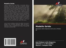 Capa do livro de Modello ibrido 