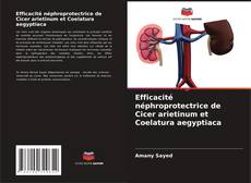Efficacité néphroprotectrice de Cicer arietinum et Coelatura aegyptiaca kitap kapağı