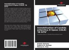 Immobilisation of Candida antarctica B lipase (CALB) ‘IN SITU’ kitap kapağı