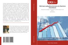 Dérives subsahariennes et chemins nouveaux的封面