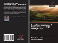 Borítókép a  Serratia marcescens A Prokaryota: Izolacja i identyfikacja - hoz