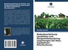 Couverture de Bodenbearbeitung-spraktiken und Düngemittelausbring-ungsmengen bei Mais-Sojabohnen-Mischkulturen