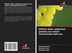 Обложка Effetto delle radiazioni gamma sul valore nutrizionale dell'uva
