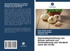 Copertina di Gammabestrahlung von Allium sativum zur Verhinderung von Verderb nach der Ernte
