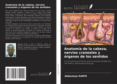 Capa do livro de Anatomía de la cabeza, nervios craneales y órganos de los sentidos 