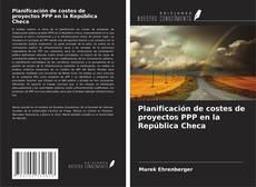 Planificación de costes de proyectos PPP en la República Checa kitap kapağı