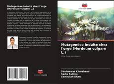 Mutagenèse induite chez l'orge (Hordeum vulgare L.)的封面