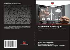 Capa do livro de Économie numérique: 