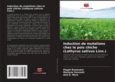 Buchcover von Induction de mutations chez le pois chiche (Lathyrus sativus Linn.)