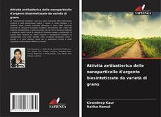 Attività antibatterica delle nanoparticelle d'argento biosintetizzate da varietà di grano kitap kapağı