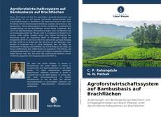 Copertina di Agroforstwirtschaftssystem auf Bambusbasis auf Brachflächen