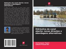 Couverture de Hidráulica de canal aberto: novas direções e abordagens alternativas