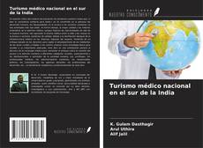 Bookcover of Turismo médico nacional en el sur de la India