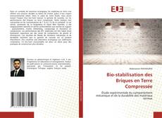 Couverture de Bio-stabilisation des Briques en Terre Compressée