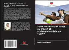 Soins infirmiers en santé au travail et environnementale en Égypte的封面