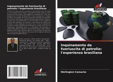 Inquinamento da fuoriuscita di petrolio: l'esperienza brasiliana kitap kapağı