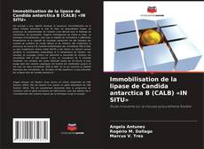 Immobilisation de la lipase de Candida antarctica B (CALB) «IN SITU»的封面