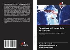 Buchcover von Panoramica chirurgica della palatoschisi