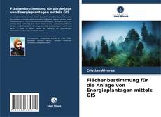Bookcover of Flächenbestimmung für die Anlage von Energieplantagen mittels GIS