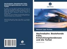 Hochnebahn: Bestehende Fälle, Entwicklungstendenzen und die Türkei的封面