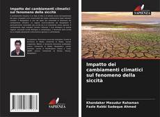 Impatto dei cambiamenti climatici sul fenomeno della siccità kitap kapağı