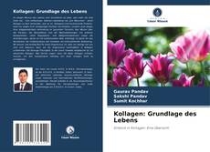 Bookcover of Kollagen: Grundlage des Lebens
