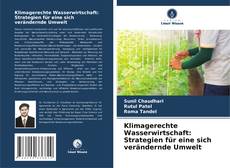 Klimagerechte Wasserwirtschaft: Strategien für eine sich verändernde Umwelt的封面