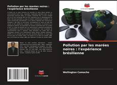 Pollution par les marées noires : l'expérience brésilienne的封面