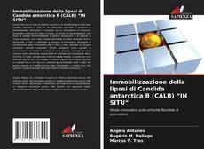 Buchcover von Immobilizzazione della lipasi di Candida antarctica B (CALB) “IN SITU”