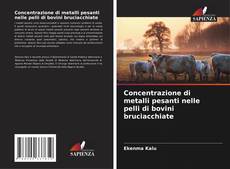 Copertina di Concentrazione di metalli pesanti nelle pelli di bovini bruciacchiate