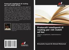 Protocolli intelligenti di routing per reti mobili ad hoc kitap kapağı