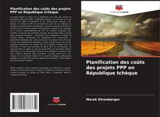 Planification des coûts des projets PPP en République tchèque的封面