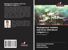 Copertina di Mutagenesi indotta nell'orzo (Hordeum vulgare L.)