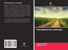 Обложка Ochrobactrum anthropi