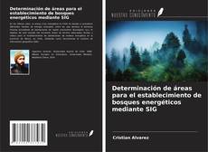 Copertina di Determinación de áreas para el establecimiento de bosques energéticos mediante SIG