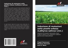 Copertina di Induzione di mutazioni nella pisello erboso (Lathyrus sativus Linn.)