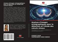 Couverture de Analyse d'images échographiques pour la détection et l'étude des calculs rénaux
