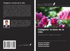 Capa do livro de Colágeno: la base de la vida 