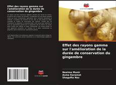 Buchcover von Effet des rayons gamma sur l'amélioration de la durée de conservation du gingembre